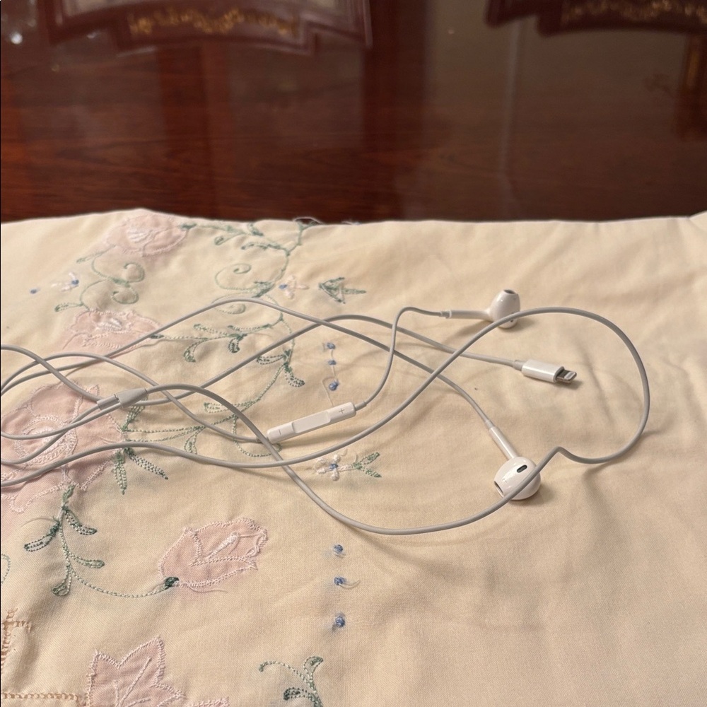 White Wired Earphones